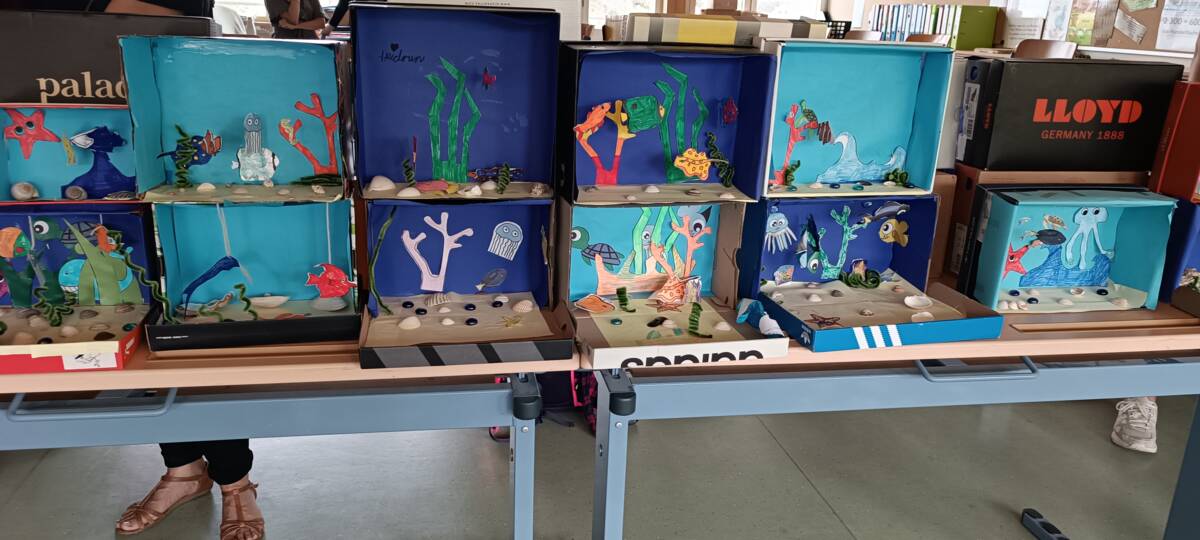 Bild